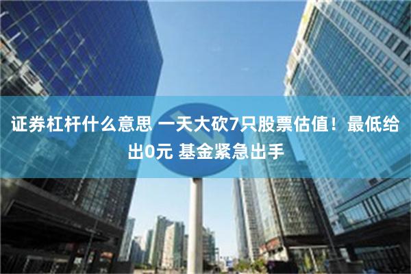 证券杠杆什么意思 一天大砍7只股票估值！最低给出0元 基金紧急出手