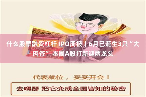 什么股票融资杠杆 IPO周报｜6月已诞生3只“大肉签” 本周A股打新迎两龙头