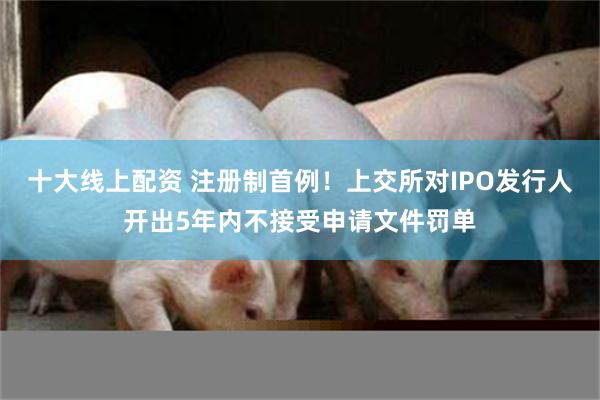 十大线上配资 注册制首例！上交所对IPO发行人开出5年内不接受申请文件罚单