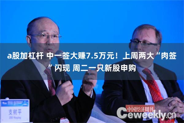a股加杠杆 中一签大赚7.5万元！上周两大“肉签”闪现 周二一只新股申购