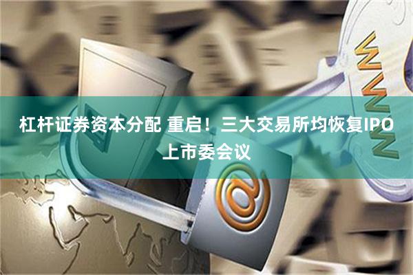 杠杆证券资本分配 重启！三大交易所均恢复IPO上市委会议