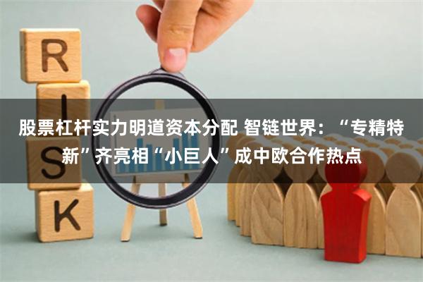 股票杠杆实力明道资本分配 智链世界：“专精特新”齐亮相“小巨人”成中欧合作热点