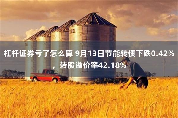 杠杆证券亏了怎么算 9月13日节能转债下跌0.42%，转股溢价率42.18%