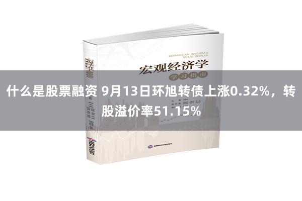 什么是股票融资 9月13日环旭转债上涨0.32%，转股溢价率51.15%