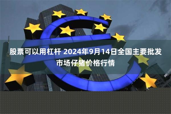 股票可以用杠杆 2024年9月14日全国主要批发市场仔猪价格行情