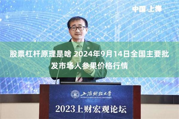 股票杠杆原理是啥 2024年9月14日全国主要批发市场人参果价格行情