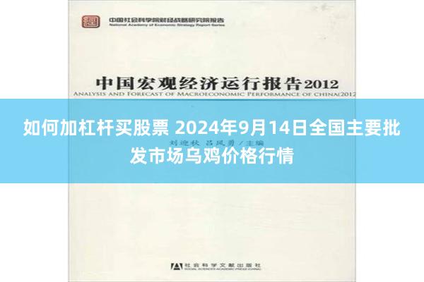如何加杠杆买股票 2024年9月14日全国主要批发市场乌鸡价格行情