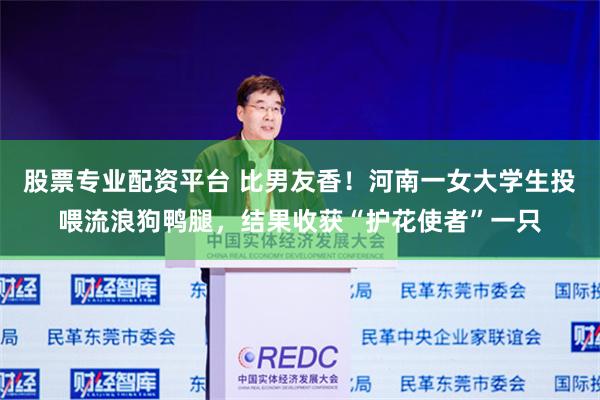 股票专业配资平台 比男友香！河南一女大学生投喂流浪狗鸭腿，结果收获“护花使者”一只