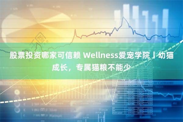 股票投资哪家可信赖 Wellness爱宠学院丨幼猫成长，专属猫粮不能少