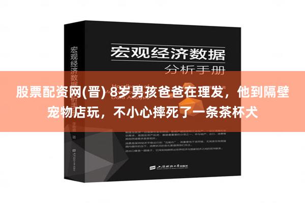 股票配资网(晋) 8岁男孩爸爸在理发，他到隔壁宠物店玩，不小心摔死了一条茶杯犬