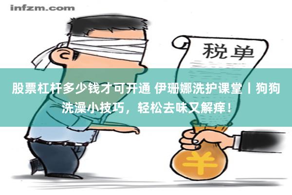 股票杠杆多少钱才可开通 伊珊娜洗护课堂丨狗狗洗澡小技巧，轻松去味又解痒！