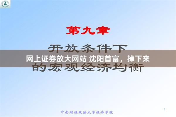 网上证劵放大网站 沈阳首富，掉下来