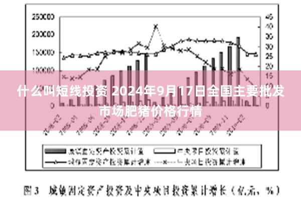 什么叫短线投资 2024年9月17日全国主要批发市场肥猪价格行情