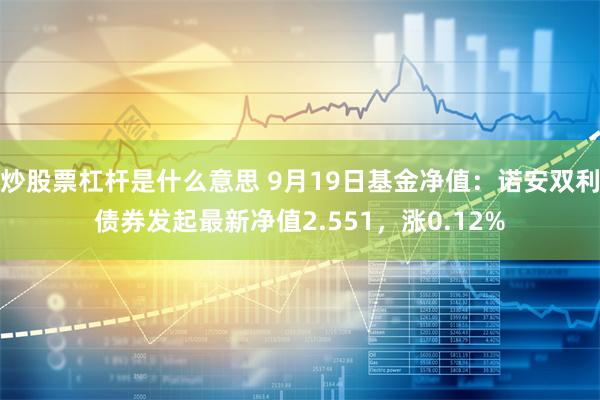 炒股票杠杆是什么意思 9月19日基金净值：诺安双利债券发起最新净值2.551，涨0.12%