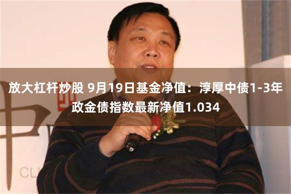 放大杠杆炒股 9月19日基金净值：淳厚中债1-3年政金债指数最新净值1.034