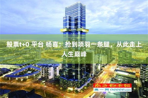 股票t+0 平台 杨喜：抢到项羽一条腿，从此走上人生巅峰