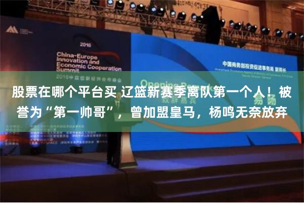 股票在哪个平台买 辽篮新赛季离队第一个人！被誉为“第一帅哥”，曾加盟皇马，杨鸣无奈放弃