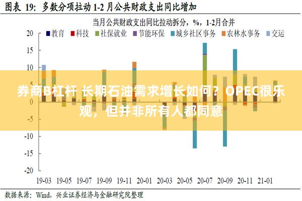 券商B杠杆 长期石油需求增长如何？OPEC很乐观，但并非所有人都同意