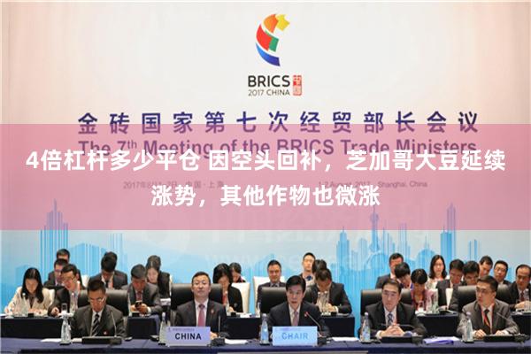 4倍杠杆多少平仓 因空头回补，芝加哥大豆延续涨势，其他作物也微涨
