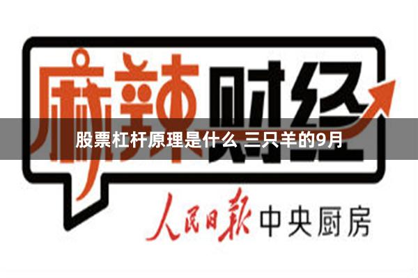 股票杠杆原理是什么 三只羊的9月