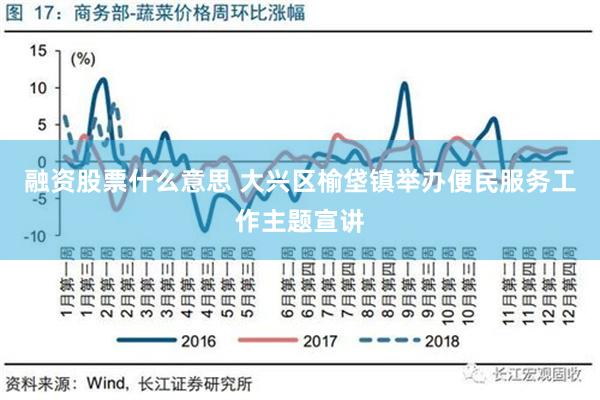 融资股票什么意思 大兴区榆垡镇举办便民服务工作主题宣讲