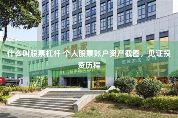 什么叫股票杠杆 个人股票账户资产截图，见证投资历程