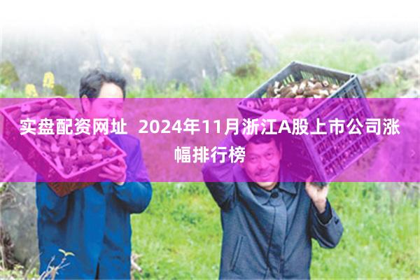 实盘配资网址  2024年11月浙江A股上市公司涨幅排行榜