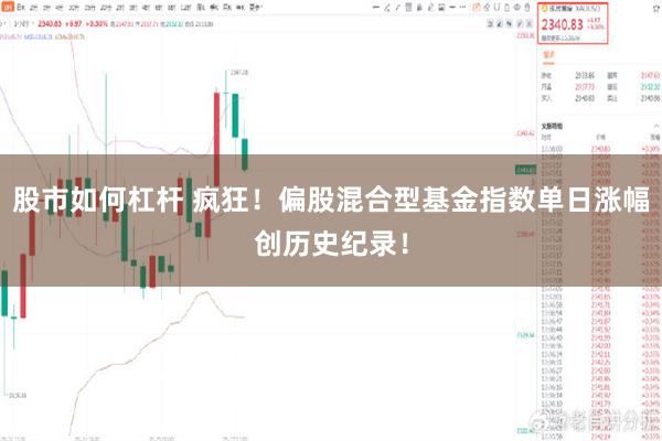 股市如何杠杆 疯狂！偏股混合型基金指数单日涨幅创历史纪录！