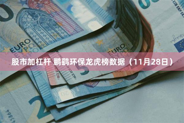 股市加杠杆 鹏鹞环保龙虎榜数据（11月28日）