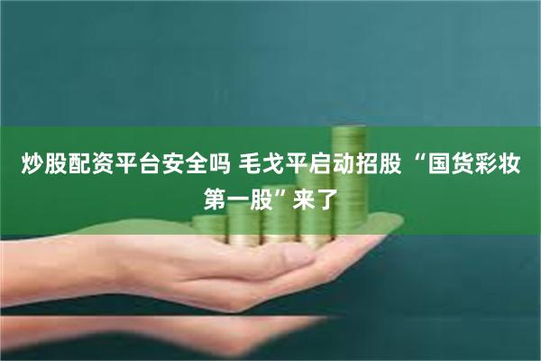 炒股配资平台安全吗 毛戈平启动招股 “国货彩妆第一股”来了