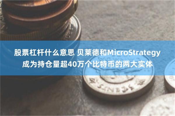 股票杠杆什么意思 贝莱德和MicroStrategy成为持仓量超40万个比特币的两大实体