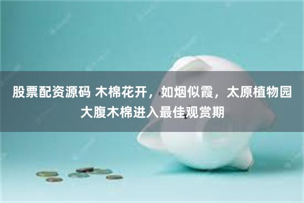 股票配资源码 木棉花开，如烟似霞，太原植物园大腹木棉进入最佳观赏期