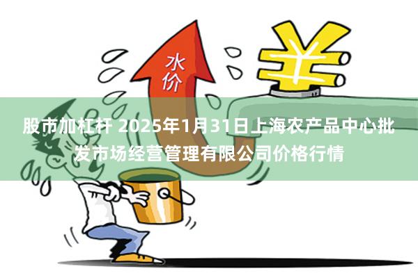 股市加杠杆 2025年1月31日上海农产品中心批发市场经营管理有限公司价格行情