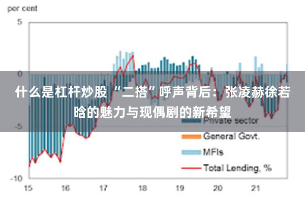 什么是杠杆炒股 “二搭”呼声背后：张凌赫徐若晗的魅力与现偶剧的新希望