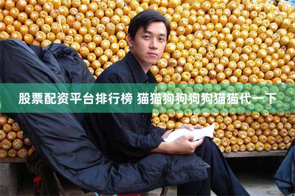 股票配资平台排行榜 猫猫狗狗狗狗猫猫代一下