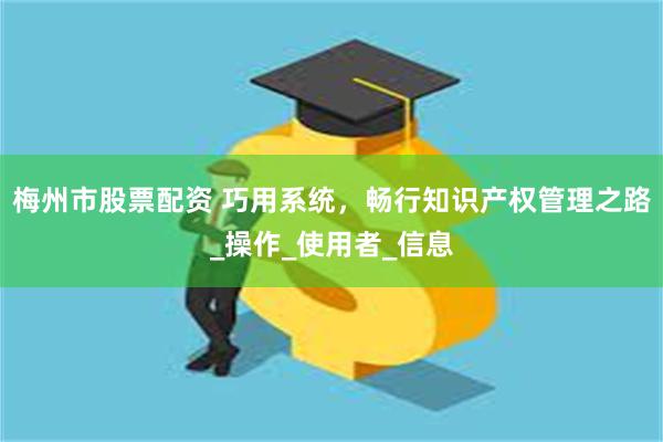 梅州市股票配资 巧用系统，畅行知识产权管理之路_操作_使用者_信息