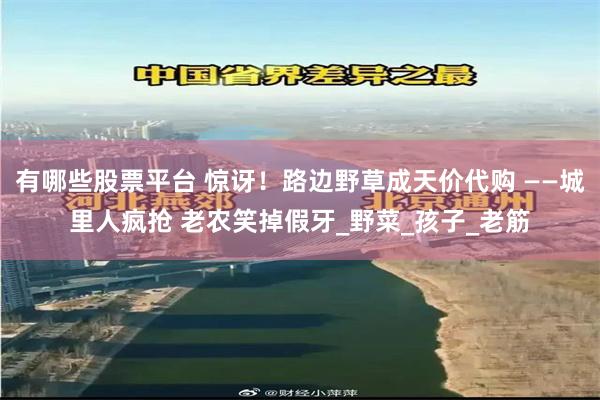 有哪些股票平台 惊讶！路边野草成天价代购 ——城里人疯抢 老农笑掉假牙_野菜_孩子_老筋