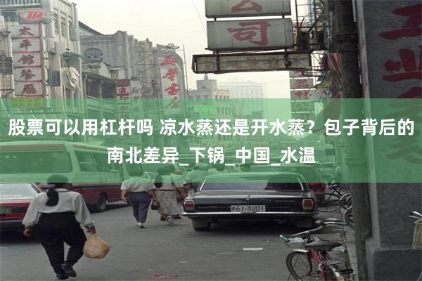 股票可以用杠杆吗 凉水蒸还是开水蒸？包子背后的南北差异_下锅_中国_水温