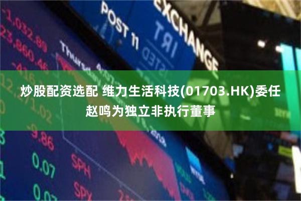 炒股配资选配 维力生活科技(01703.HK)委任赵鸣为独立非执行董事