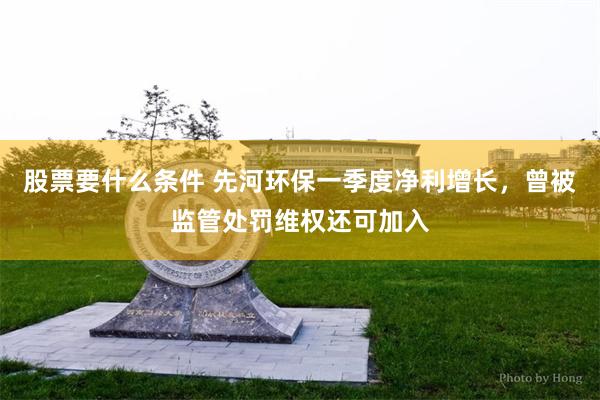 股票要什么条件 先河环保一季度净利增长，曾被监管处罚维权还可加入