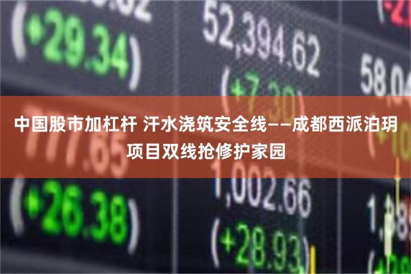 中国股市加杠杆 汗水浇筑安全线——成都西派泊玥项目双线抢修护家园