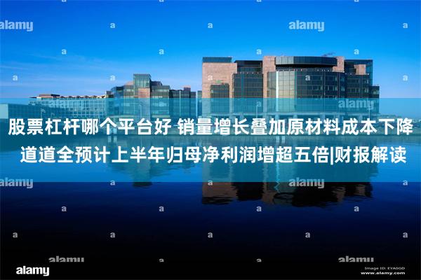 股票杠杆哪个平台好 销量增长叠加原材料成本下降 道道全预计上半年归母净利润增超五倍|财报解读