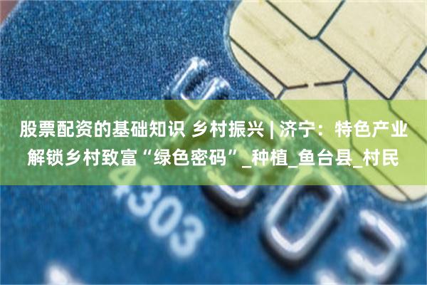 股票配资的基础知识 乡村振兴 | 济宁：特色产业解锁乡村致富“绿色密码”_种植_鱼台县_村民