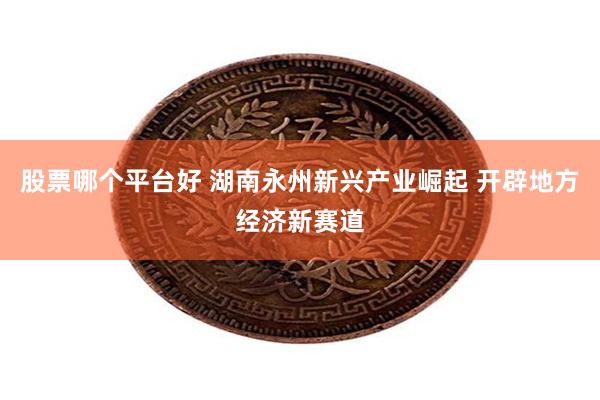 股票哪个平台好 湖南永州新兴产业崛起 开辟地方经济新赛道