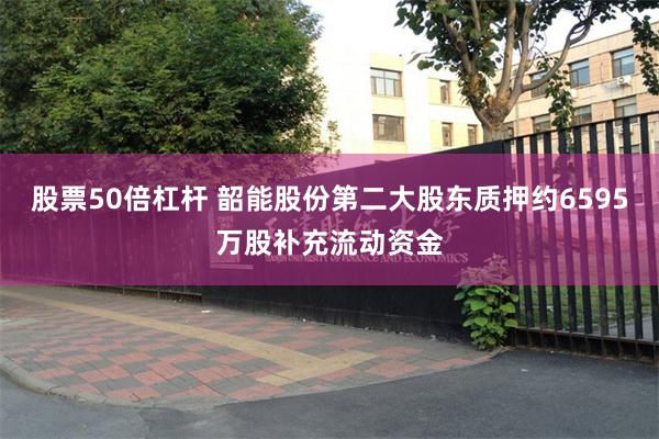 股票50倍杠杆 韶能股份第二大股东质押约6595万股补充流动资金