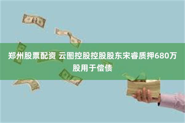 郑州股票配资 云图控股控股股东宋睿质押680万股用于偿债