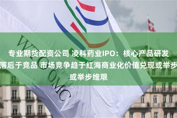 专业期货配资公司 凌科药业IPO：核心产品研发进度落后于竞品 市场竞争趋于红海商业化价值兑现或举步维艰